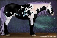 Horse Color:Watercolor Amber Champagne Onyx Splash Appaloosa 