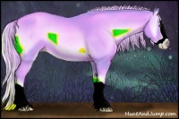 Horse Color:Watercolor Gold Champagne Onyx Splash 