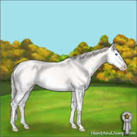 Horse Color:Smoky Creme Splash Rabicano 