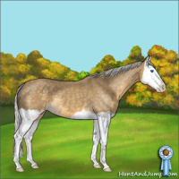 Horse Color:Silver Classic Cream Champagne Splash 