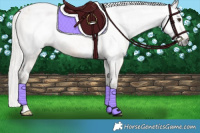 Horse Color:Gray White Spotted Silver Buckskin Varnish Rabicano 