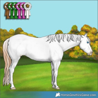 Horse Color:Chestnut Ice Splash Tobiano Varnish Rabicano