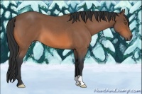 Horse Color:Bay Roan