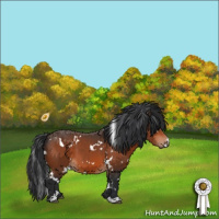 Horse Color:White Spotted Bay 