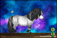 Horse Color:White Spotted Bay Chinchilla 