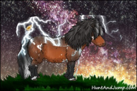 Horse Color:White Spotted Bay 