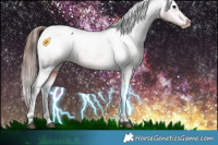 Horse Color:White Spotted Bay Appaloosa