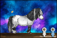 Horse Color:White Spotted Bay Chinchilla 