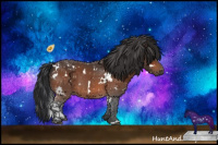 Horse Color:White Spotted Bay 