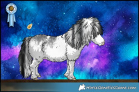 Horse Color:White Spotted Bay Chinchilla 