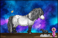 Horse Color:White Spotted Bay Chinchilla Appaloosa 