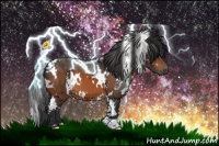 Horse Color:White Spotted Bay 