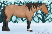 Horse Color:Bay Roan