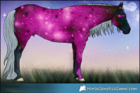 Horse Color:ERROR: UNKNOWN ANOMALY