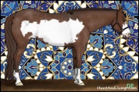 Horse Color:Liver Chestnut Frame Rabicano 