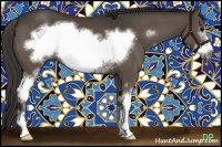 Horse Color:White Spotted Smoky Black Frame