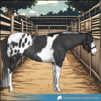 Horse Color:White Spotted Black Tobiano Appaloosa Rabicano 