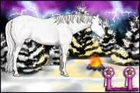 Horse Color:Perlino Splash Appaloosa