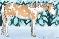 Horse Color:White Spotted Silver Sable Cream Champagne Splash 