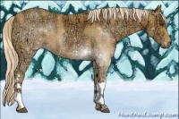 Horse Color:Plaid  Palomino Ice 