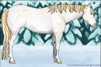 Horse Color:Painted Cremello Ice Frame 