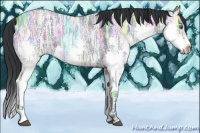 Horse Color:Blue Ice Roan Splash Rabicano 