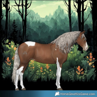 Horse Color:Gray White Spotted Silver Black Pearl Tobiano 