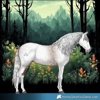 Horse Color:Gray White Spotted Silver Black Pearl Tobiano 