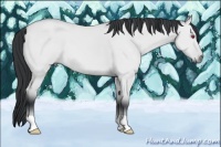 Horse Color:Bay Chinchilla Dun