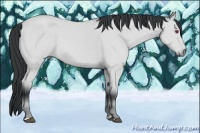 Horse Color:Bay Chinchilla 