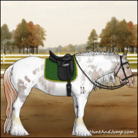 Horse Color:White Spotted Liver Chestnut Tobiano Appaloosa