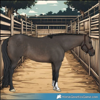 Horse Color:Brown Dun 