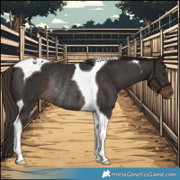 Horse Color:Liver Chestnut Tobiano Rabicano 