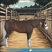Horse Color:White Spotted Silver Brown