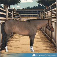Horse Color:Brown Dun 