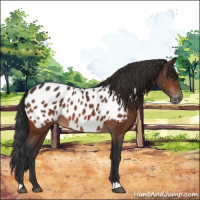 Horse Color:Brown Near Leopard 