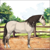 Horse Color:Amber Champagne Dun 