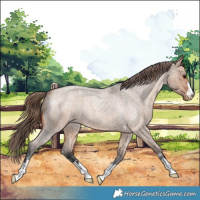 Horse Color:Bay Roan Dun Varnish 