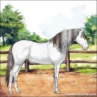 Horse Color:Buckskin Roan Near Fewspot 