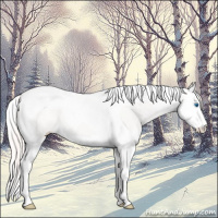 Horse Color:Perlino Splash Tobiano 