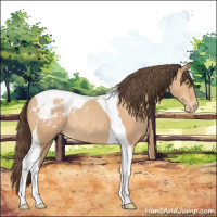 Horse Color:Amber Champagne Tobiano Blanket Rabicano 