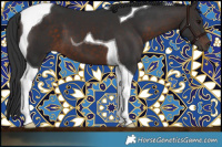 Horse Color:Brown Tobiano 