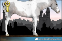 Horse Color:Brown Tobiano 