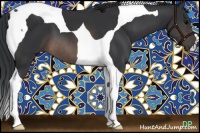 Horse Color:Brown Tobiano