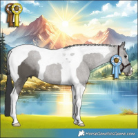 Horse Color:Grullo Tobiano