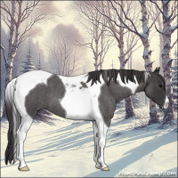 Horse Color:Smoky Blue Roan Tobiano 