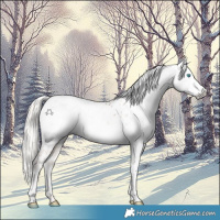 Horse Color:Gray Chocolate Palomino Pearl Sabino Appaloosa 