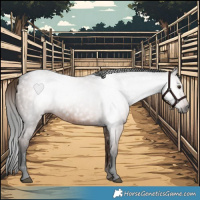 Horse Color:Gray Liver Red Roan 