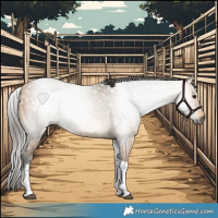 Horse Color:Gray White Spotted Buckskin Tobiano 