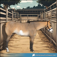 Horse Color:Buckskin Roan Frame Rabicano 